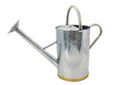 Metal Watering Can Galvanised Steel 9 litre