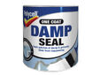 Damp Seal Paint 1 litre