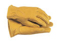 TGL105M Premium Leather Gloves Ladies' - Medium
