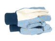 TGL404 Men's Dotted Canvas Gloves - One Size