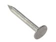 Clout Nail Galvanised 30mm (250g Bag)